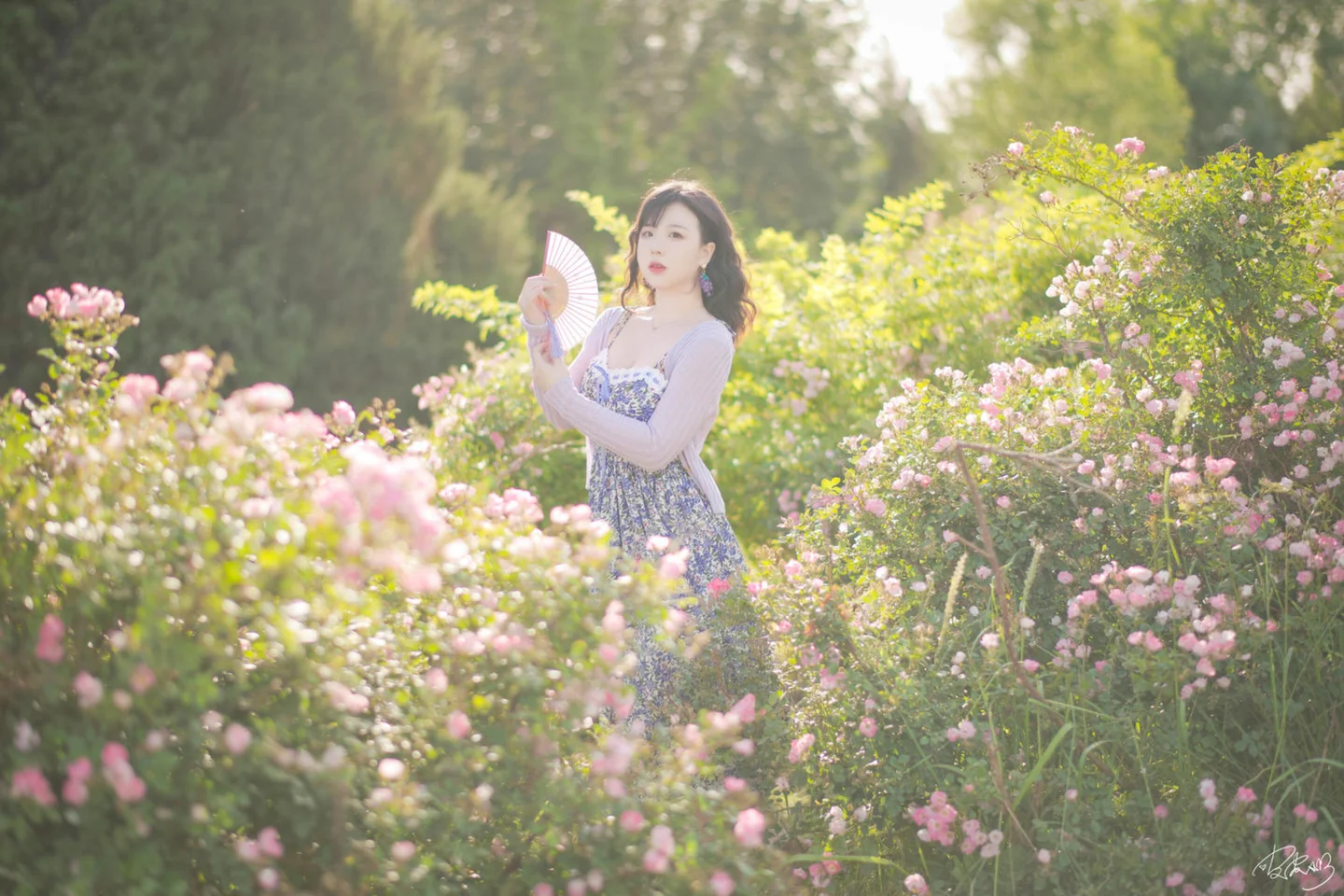 皮皮奶 - 蔷薇花 [37P-269MB]